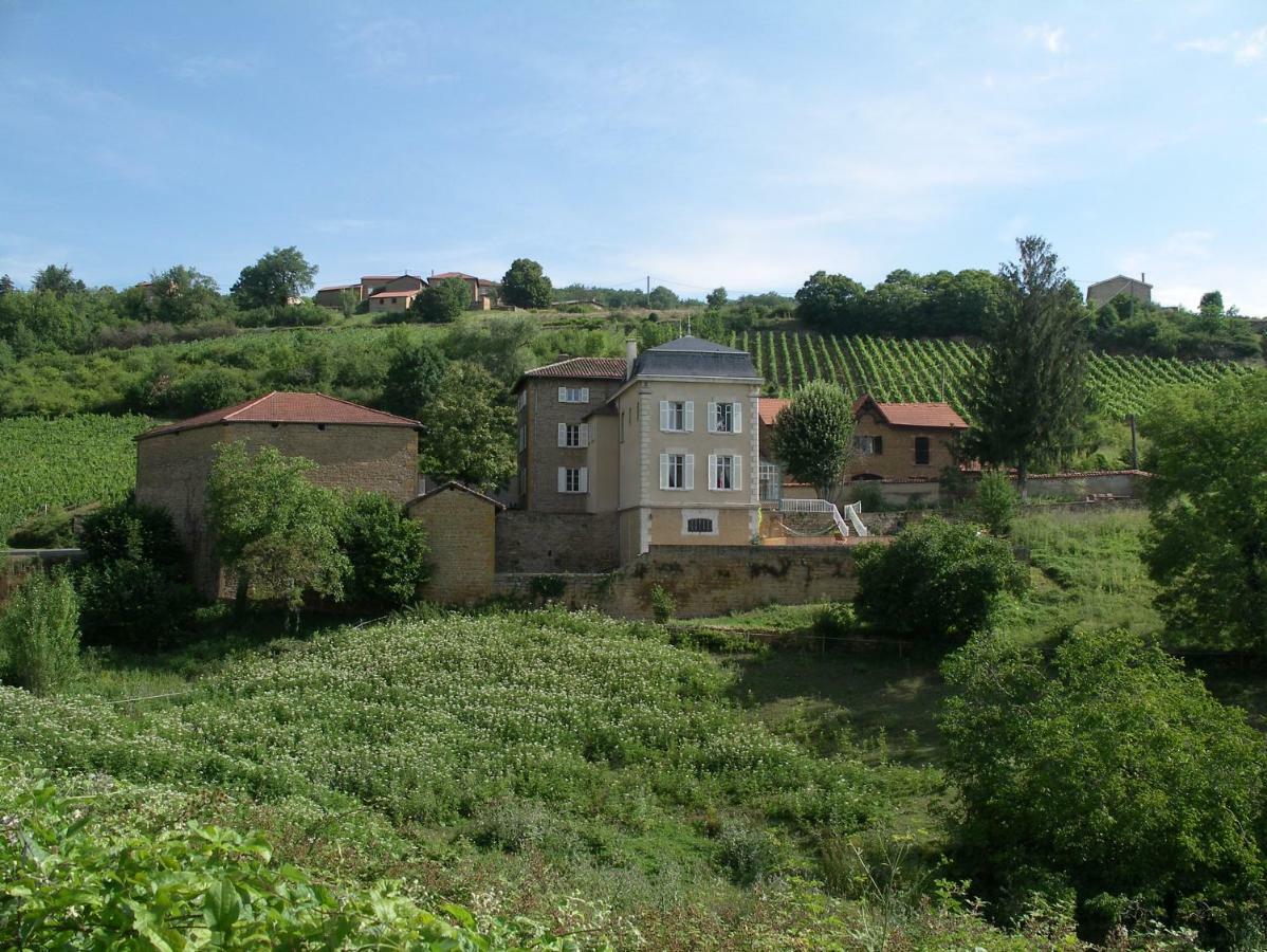 Le Clos Des Fayettes Theize Zewnętrze zdjęcie