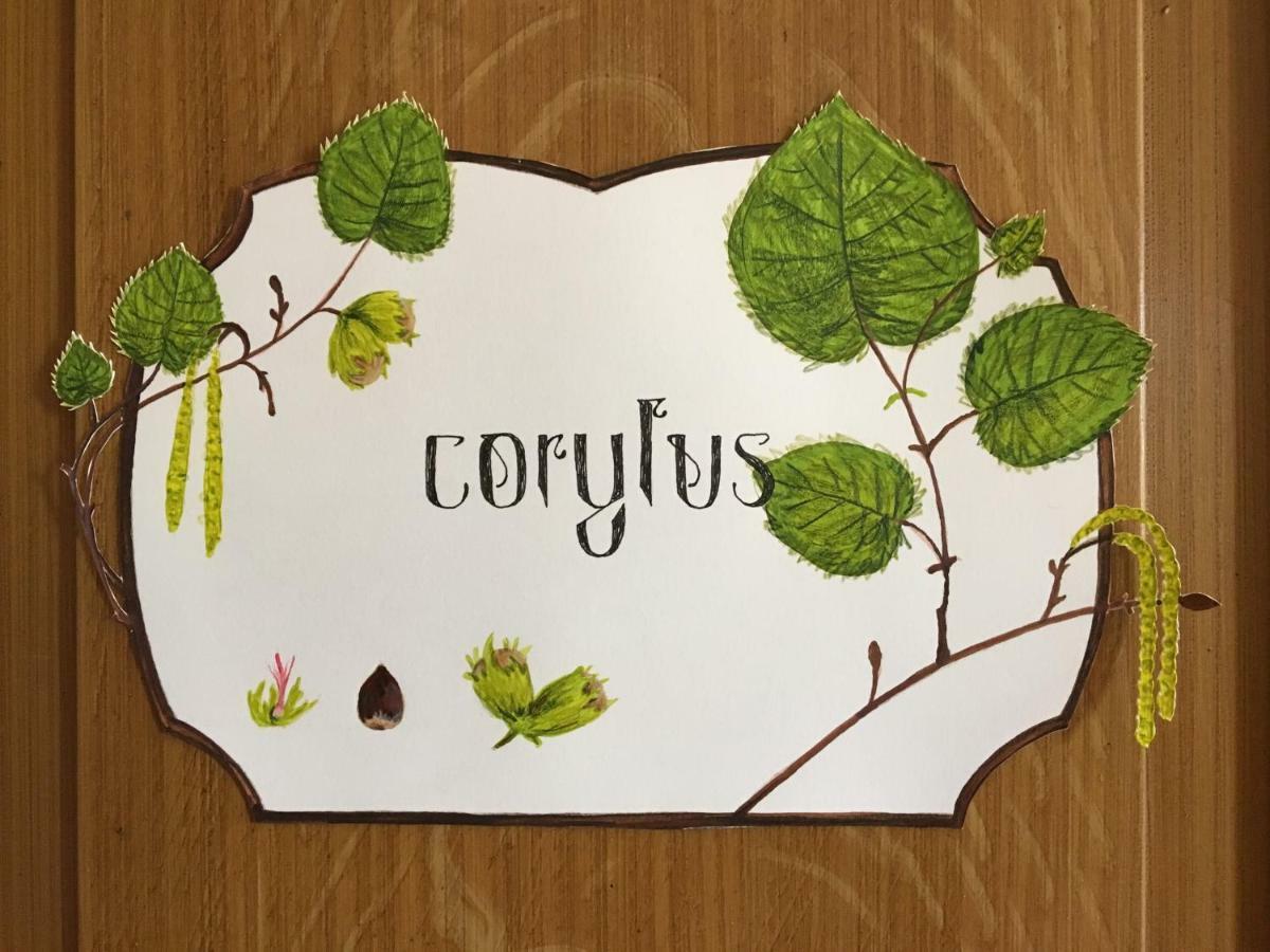 Le Clos Des Fayettes Theize Zewnętrze zdjęcie