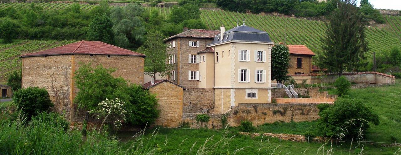 Le Clos Des Fayettes Theize Zewnętrze zdjęcie